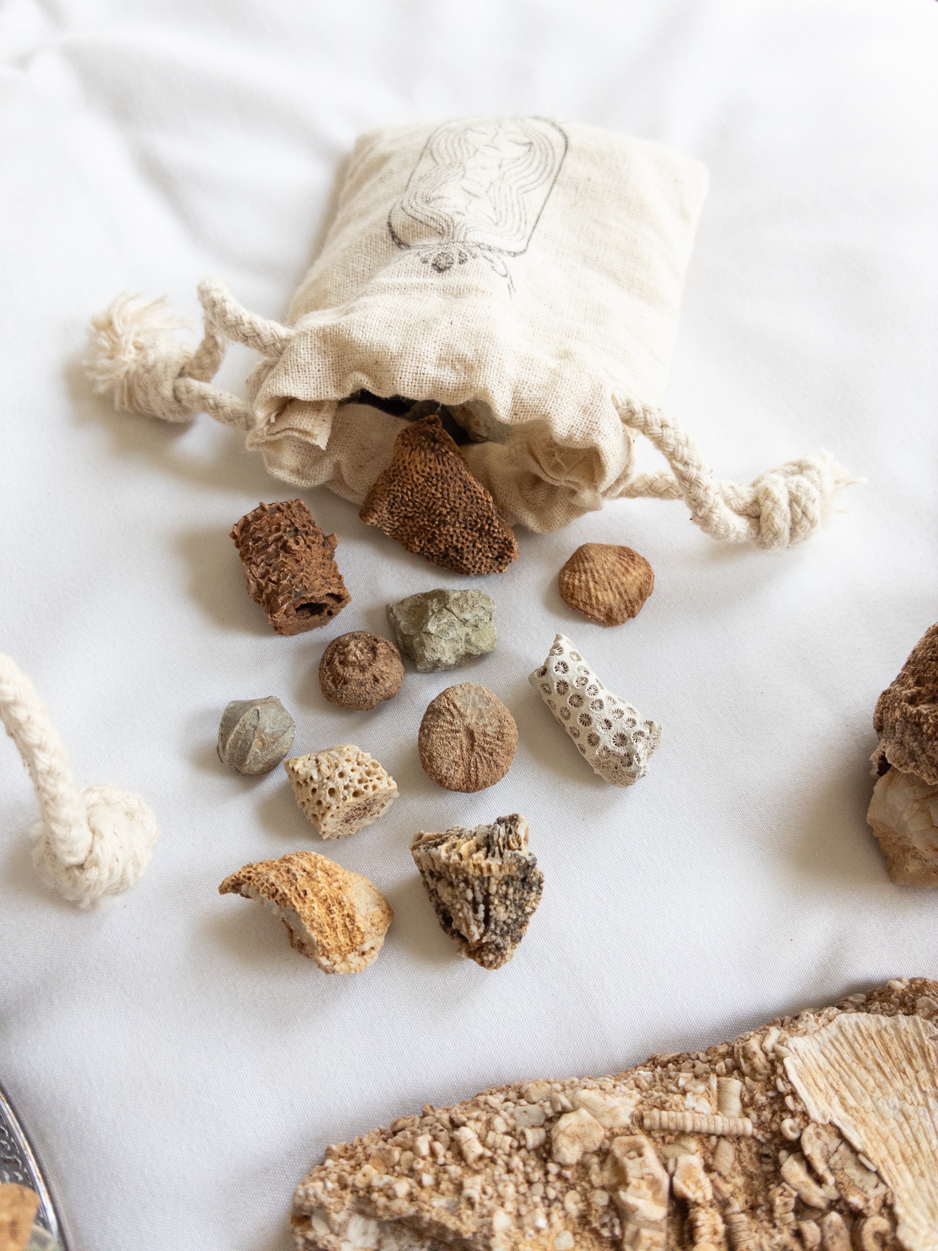 FOSSIL MYSTERY BAGS