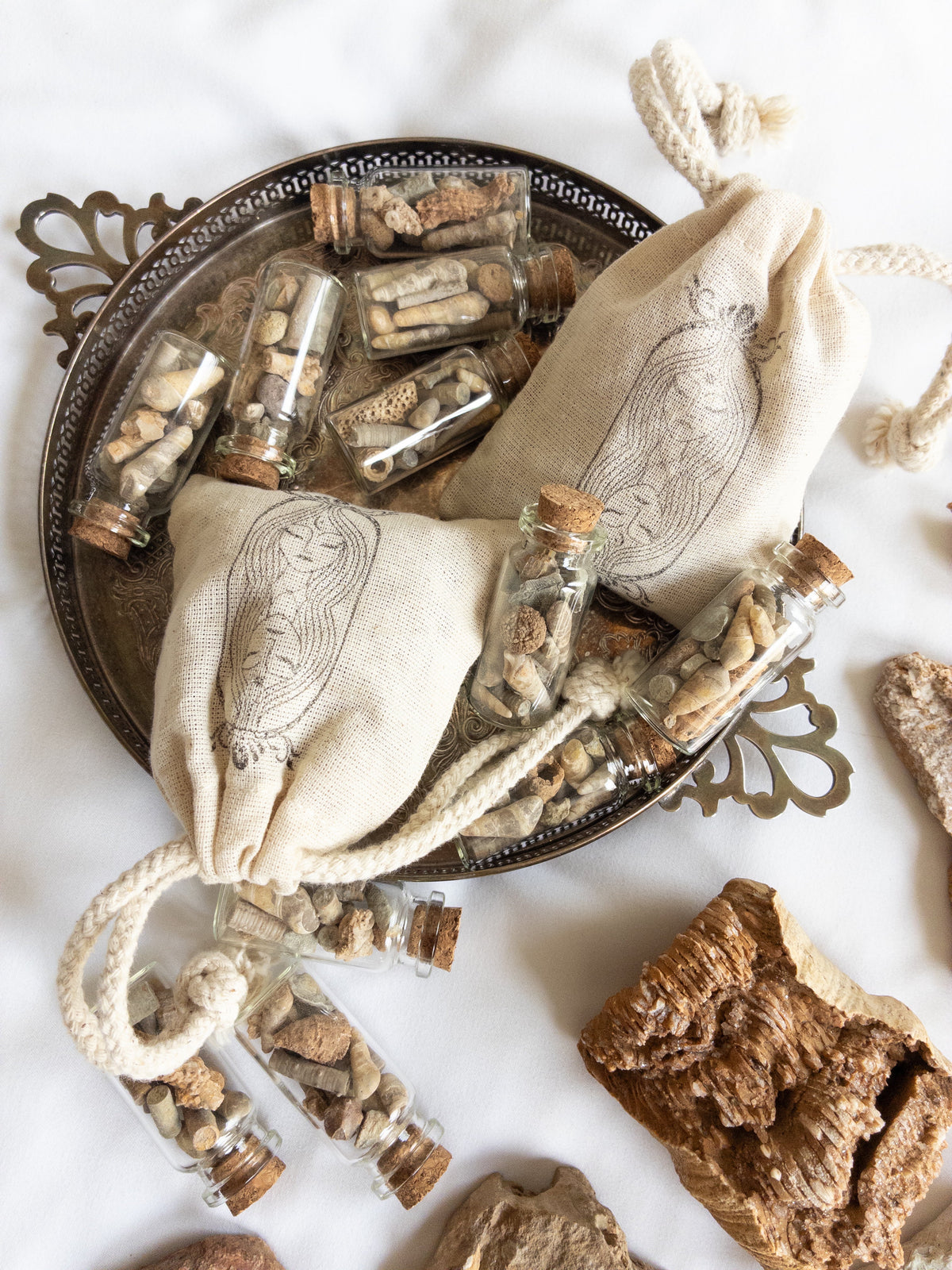 FOSSIL JARS