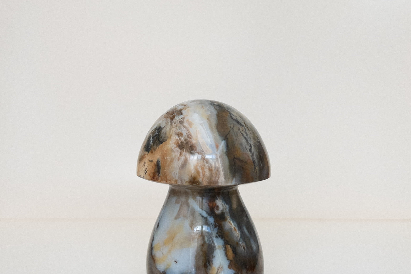 Ocean Jasper Mushrooms