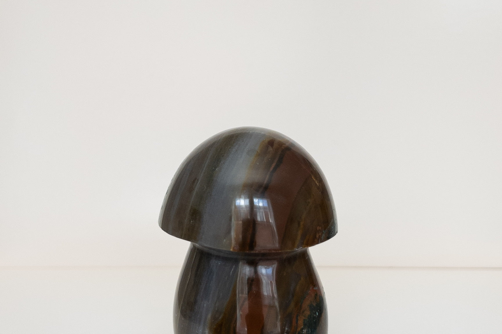 Ocean Jasper Mushrooms