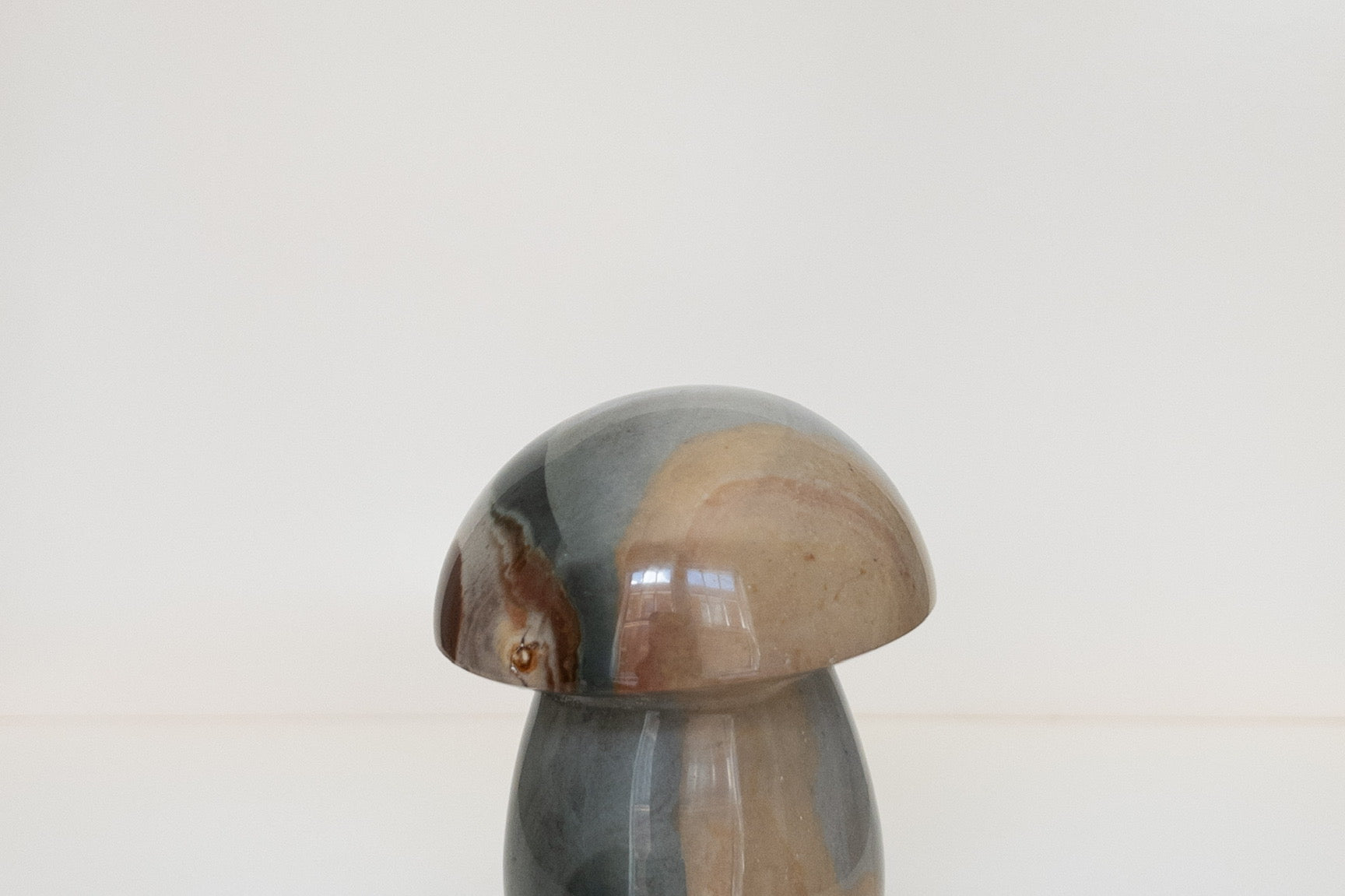 Polychrome Jasper Mushrooms