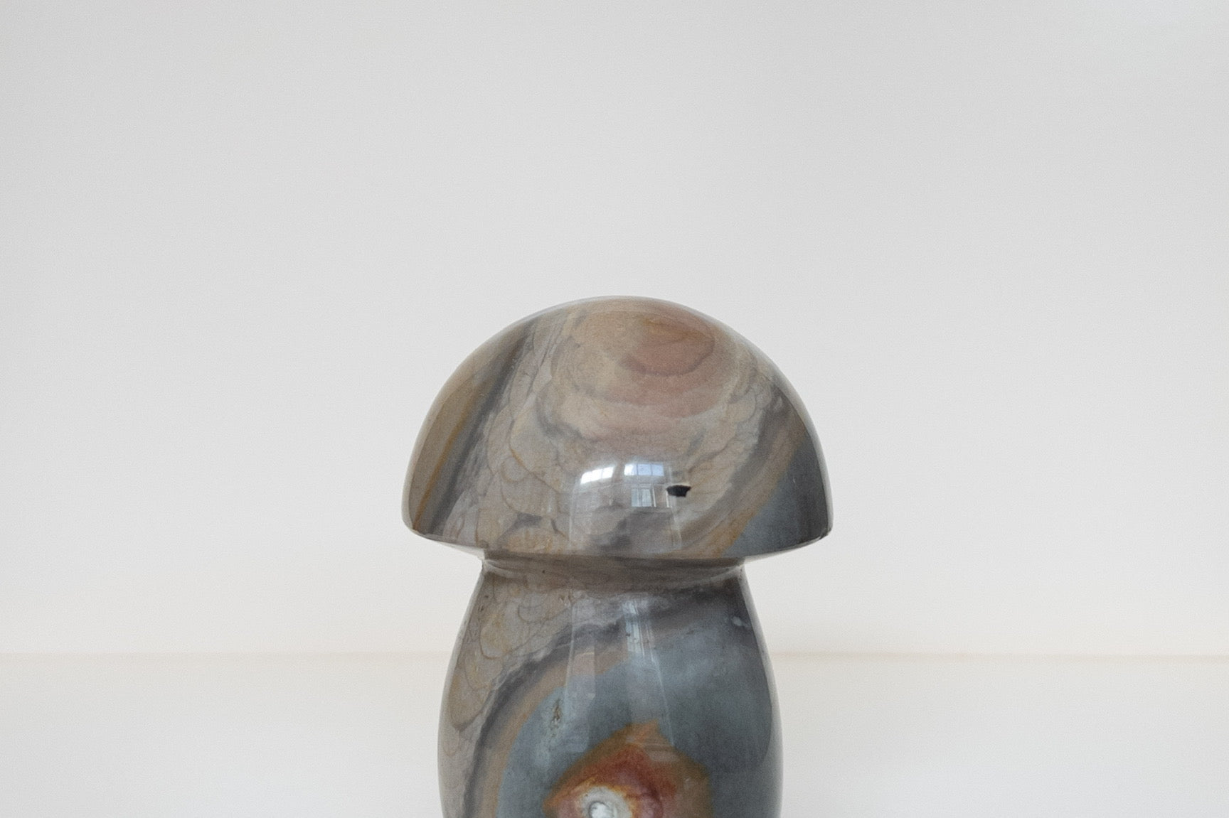 Polychrome Jasper Mushrooms