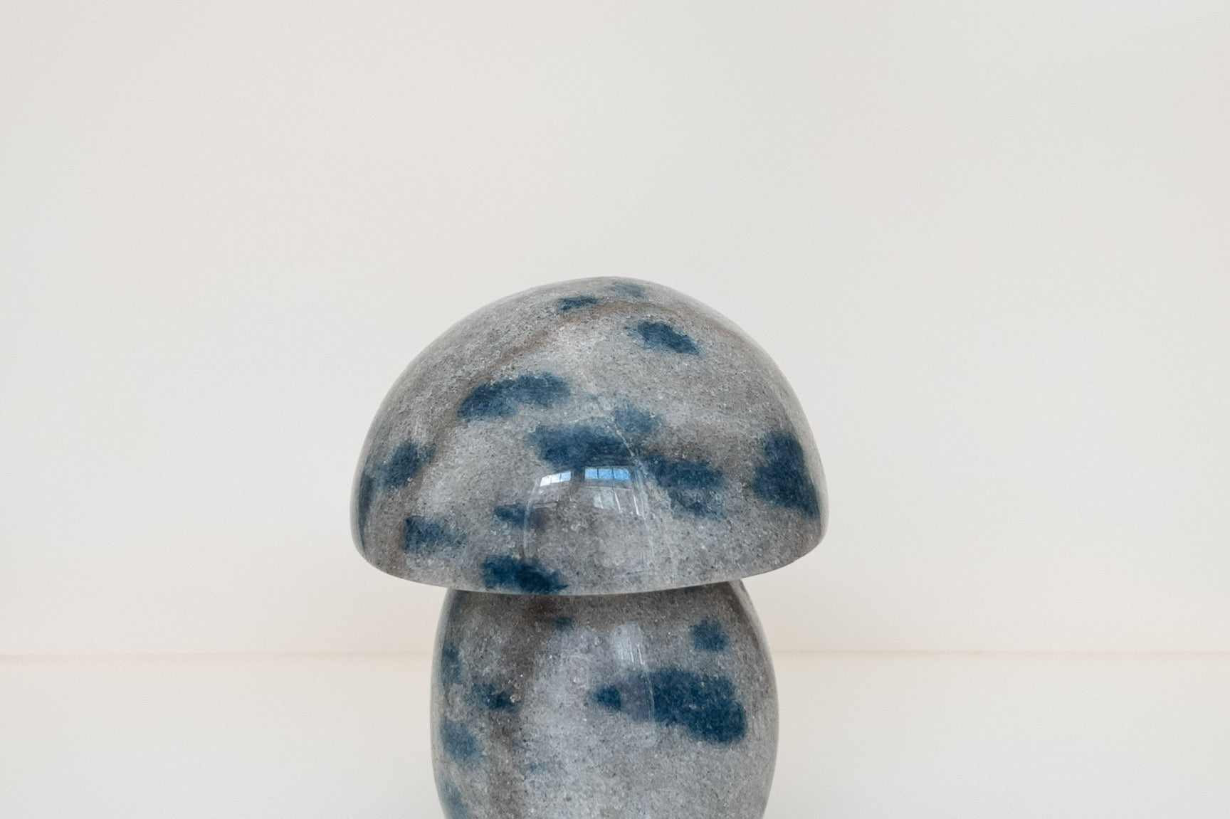 Ketonite (K2) Mushrooms