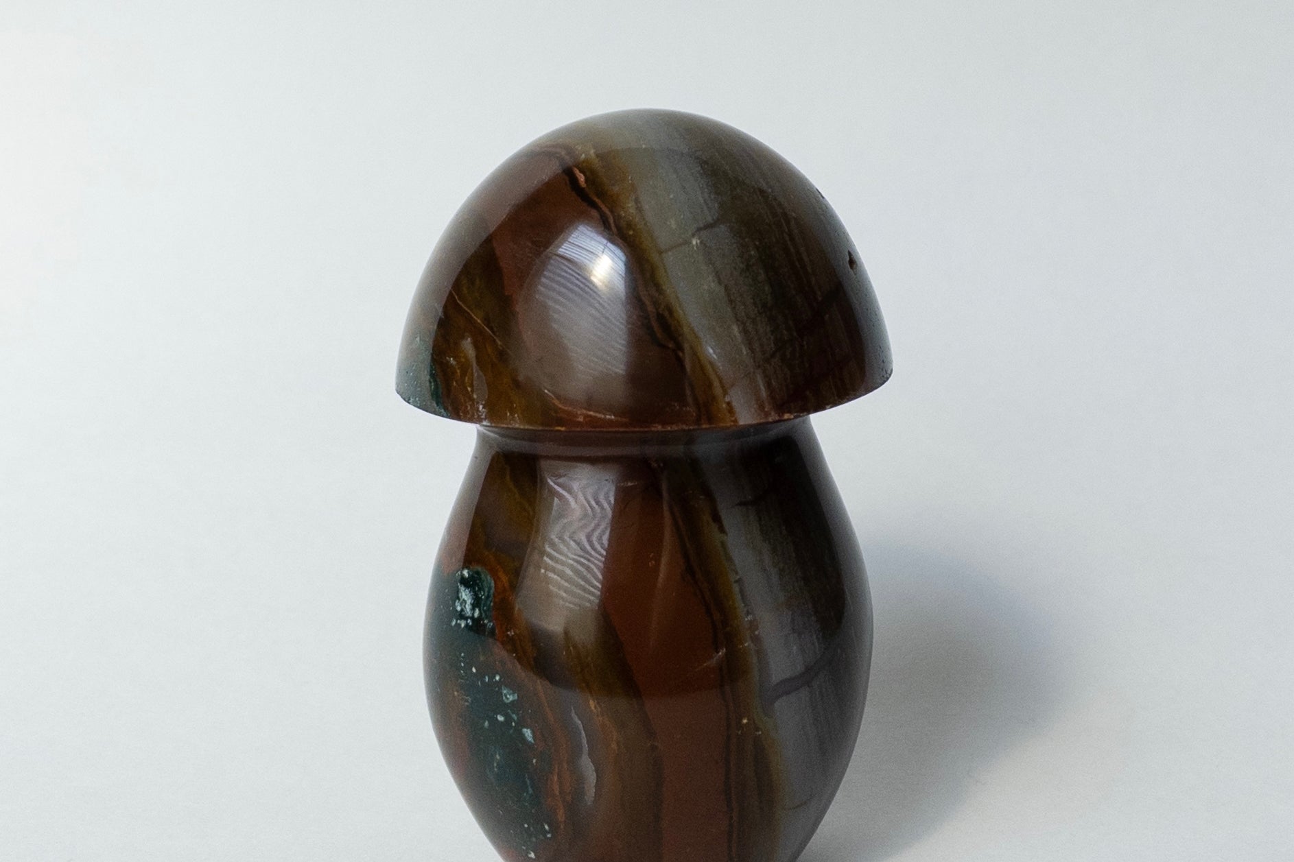 Ocean Jasper Mushrooms