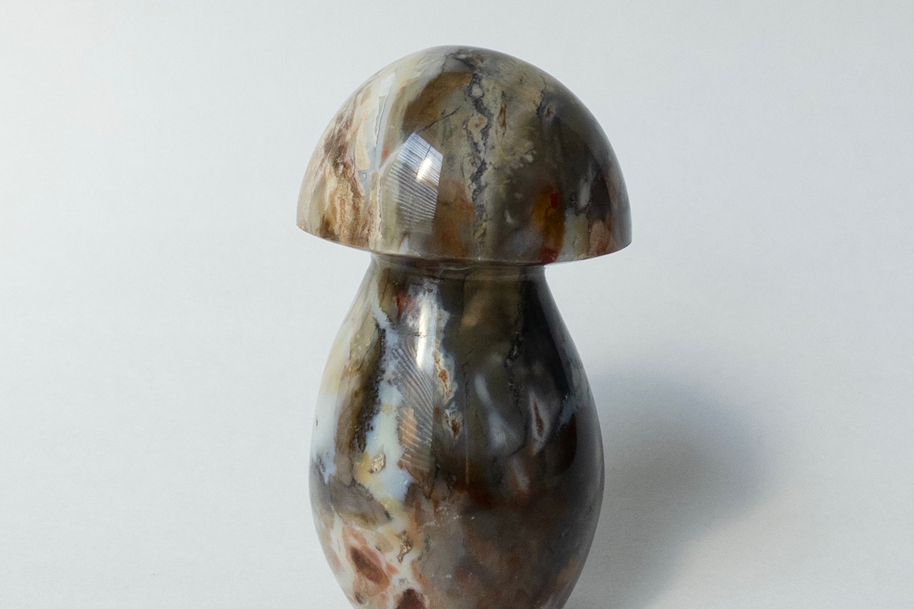 Ocean Jasper Mushrooms