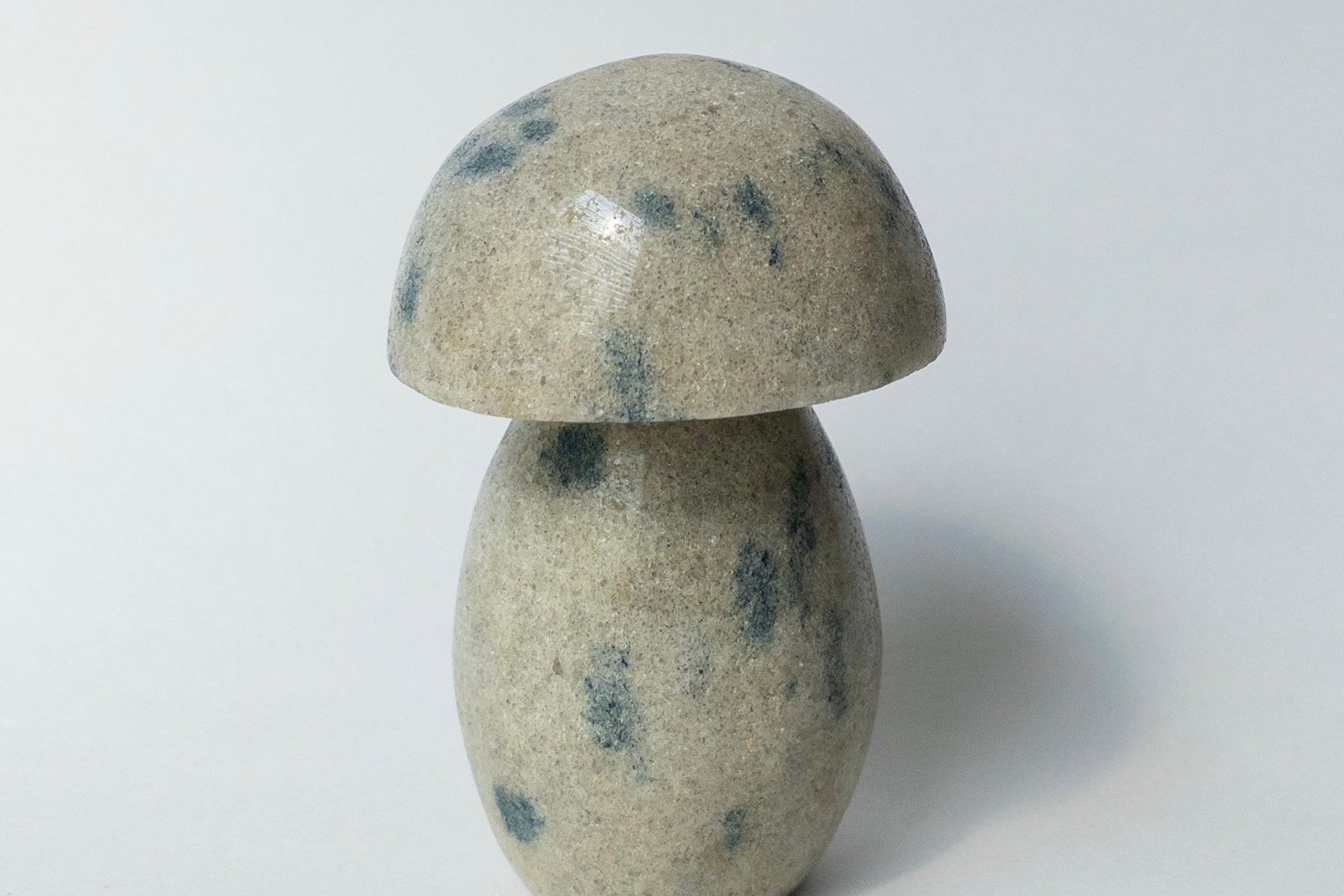 Ketonite (K2) Mushrooms