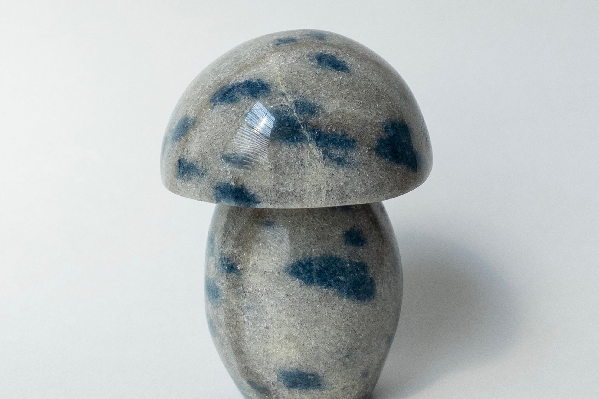 Ketonite (K2) Mushrooms